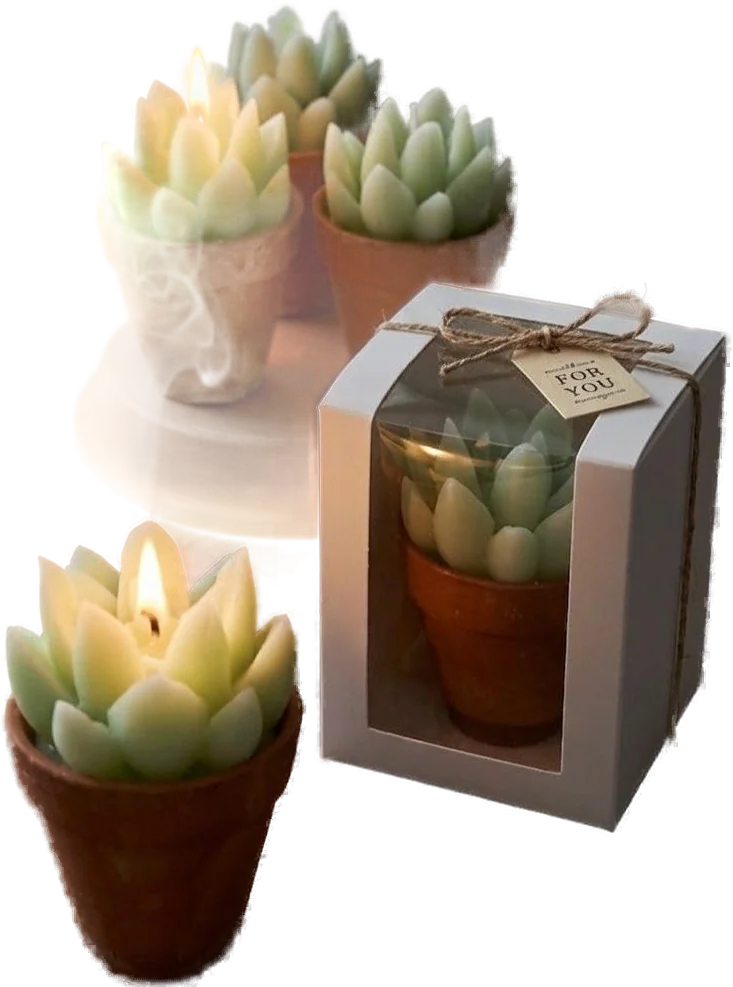 Succulent Pot candle